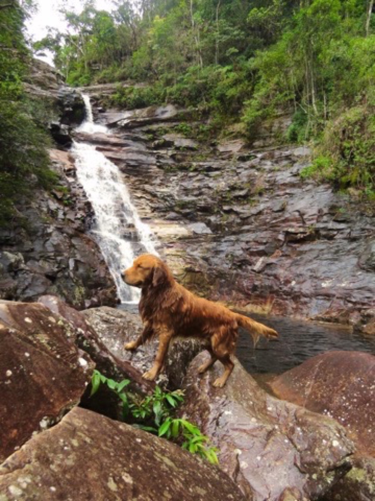 O Tom à beira de uma cachoeira